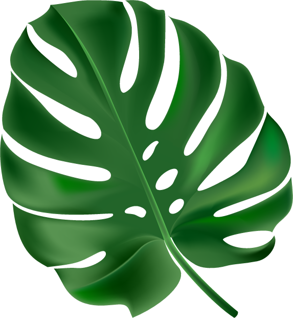 Leaf Icon 5