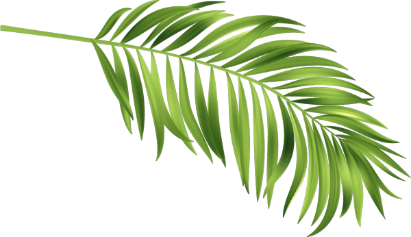 Leaf Icon 8