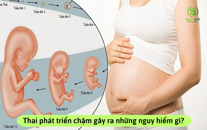 Thai Phat Trien Cham 2