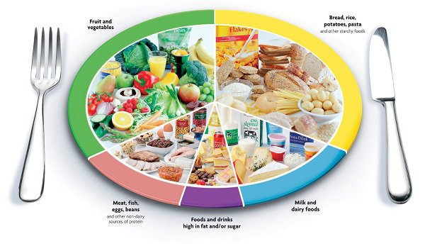 Bổ sung đa dạng các chất dinh dưỡng trong khẩu phần ăn hằng ngày