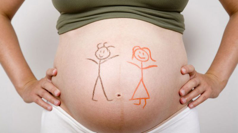 Giới tính thai nhi được hình thành từ đâu?
