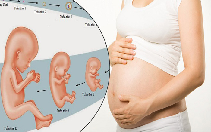 Nguyên nhân và dấu hiệu giúp mẹ nhận biết tình trạng bào thai bị suy dinh dưỡng