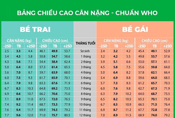 Biểu đồ Chiều Cao Trẻ Sơ Sinh Theo Tháng