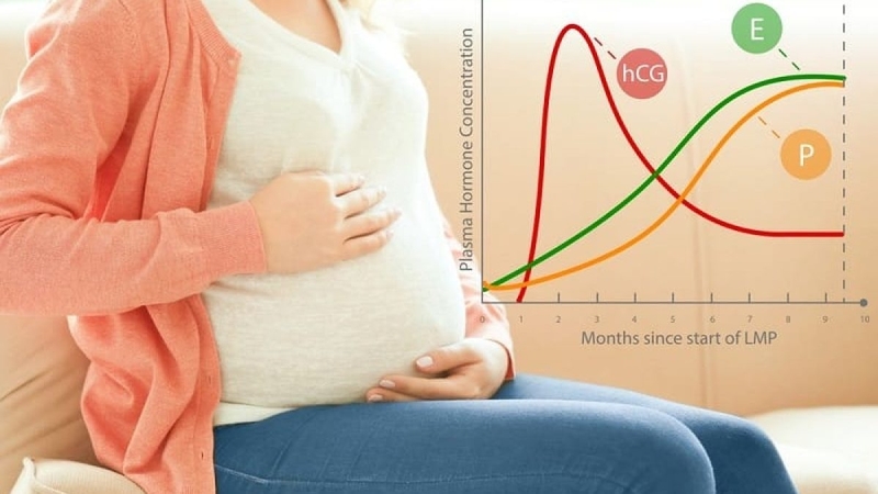 Hormone Thai Kỳ ảnh Hưởng đến Cơ Thể Và Tâm Lý Mẹ Bầu Ra Sao